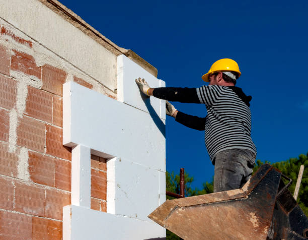 Best Attic Insulation Installation  in Fredericksburg, VA