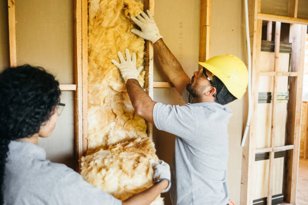 Best Wall Insulation Contractor  in Fredericksburg, VA