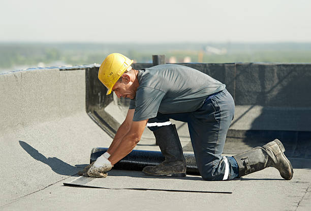 Best Commercial Insulation Contractor  in Fredericksburg, VA