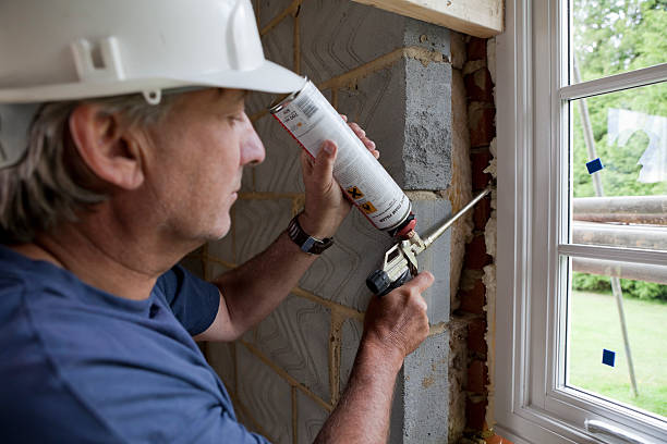 Best Insulation Replacement Services  in Fredericksburg, VA