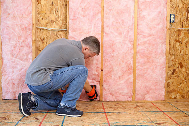 Best Crawl Space Insulation  in Fredericksburg, VA