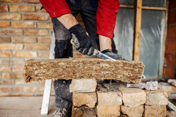 Best Professional Insulation Contractor  in Fredericksburg, VA