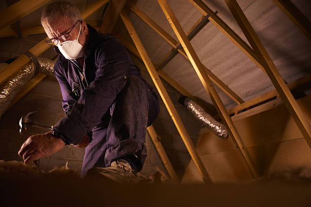 Best Home Insulation Services  in Fredericksburg, VA