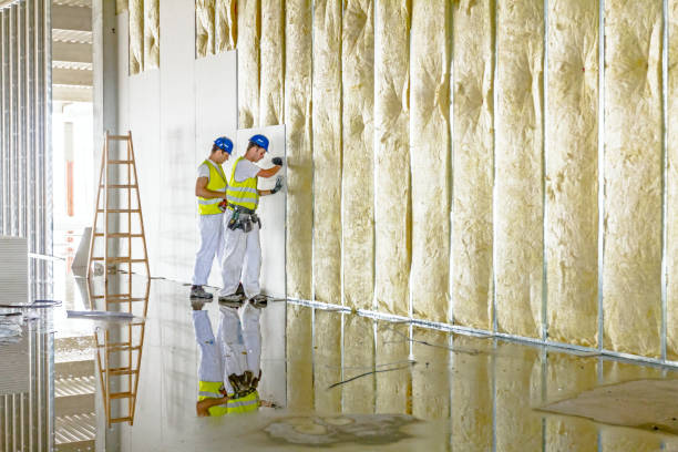 Insulation Repair Services in Fredericksburg, VA